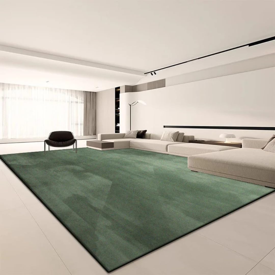 Tapis moderne non pelucheux pour salon et décoration minimaliste