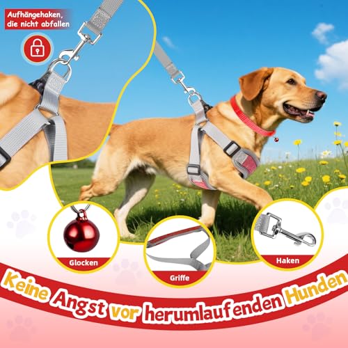 3 Stück Hundegeschirr und Leine Set, Verstellbares Brustgeschirr, Reflektierendes atmungsaktives Hundegeschirr mit D-Ring, Hundegeschirrs Set für Welpen, Kleine Hunde