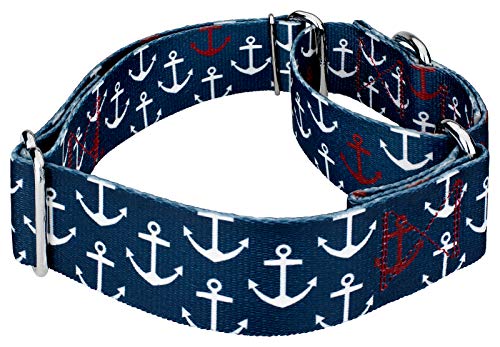 Country Brook Petz - Anchors Away Martingale Dog Collar - Summer Breeze Collection with 2 Sunny Designs (1 1/2 Inch, Medium)