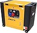 Neilsen CT0012 240V / 400V Diesel Generator - 10Hp | 4.5Kw Rated Power | Max Power 5Kw | 3 Phase | AC Frequency : 50Hz |16L Tank | Ideal for Power Supply Applications