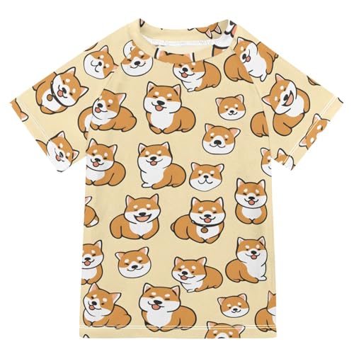 ALAZA Boys Rash Guard Swimming Shirt for Boys Short Sleeve Cute Corgi UPF 50+ 5-6T