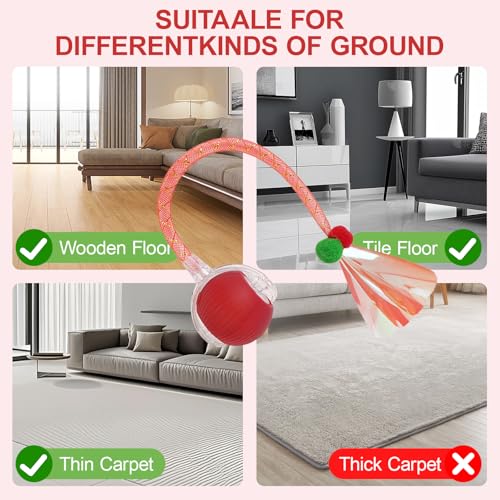 Jouets automatiques interactifs pour chats d'intérieur avec queue mobile - 6