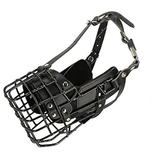 Dingo Gear Gummierte Metallmaulkorb K9 S03040