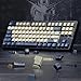 Hkfos XVX Japanese Anime Keycaps- Retro PBT Keyboard Caps,Dye Sublimation Keyboard Keycaps with Cherry Profile,134 Keys Keycap Sets for Mechanical Keyboards - Only Key caps