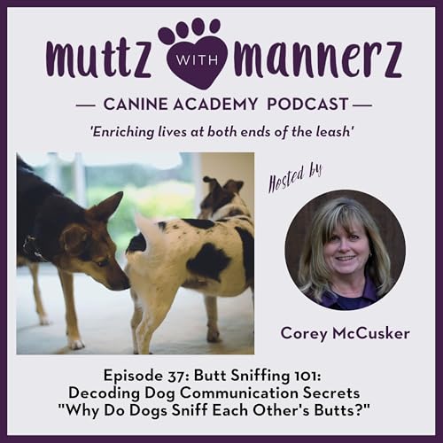 『Episode 37: Butt Sniffing 101: Decoding Dog Communication Secrets "Why Do Dogs Sniff Each Other's Butts?"』のカバーアート