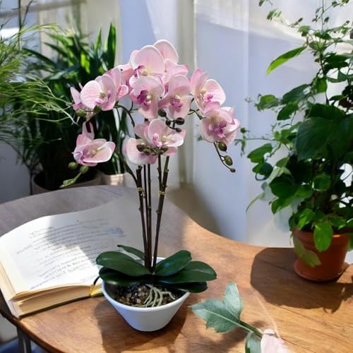 FOX & FERN Artificial 57CM Orchid Flowers in Ceramic Pot with 3 S...