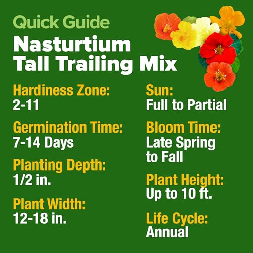 Image of HOME GROWN Nasturtium Seeds Dwarf Tall Trailing Mix 250+ Edible Flower Seeds for Planting Outdoors Fast Germination, Low-Maintenance Climbing & Trailing Nasturtium (Tropaeolum majus)