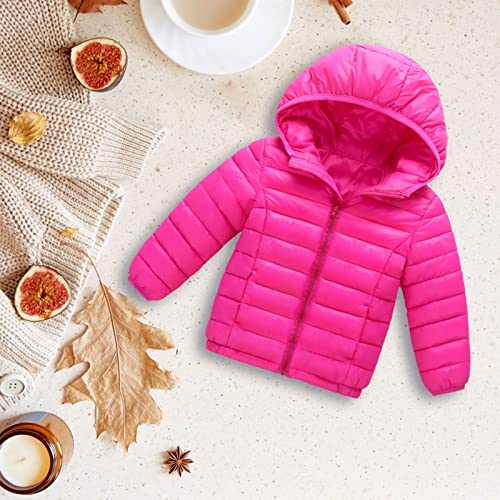 Small and Medium Sized Boys and Girls Warm Cotton Padded Jacket Autumn and Winter Comfortable Spring Summer Top Bow2