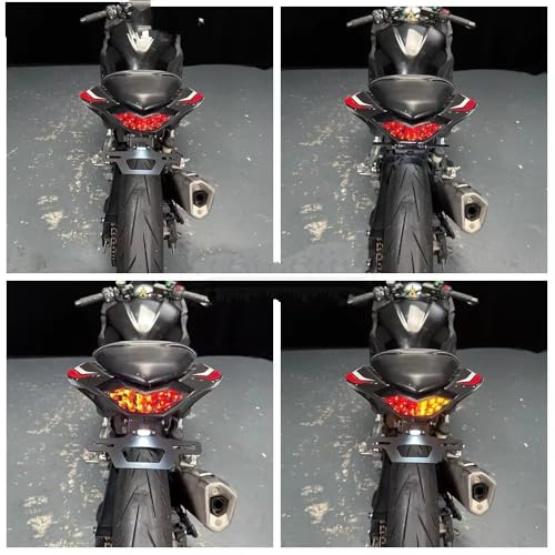 Support de plaque d'immatriculation moto pour remplacer le garde-boue Ninja Z