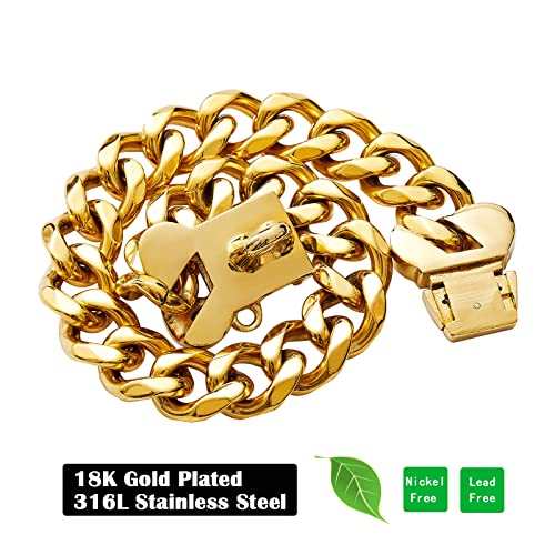 Promenade chien avec collier robuste