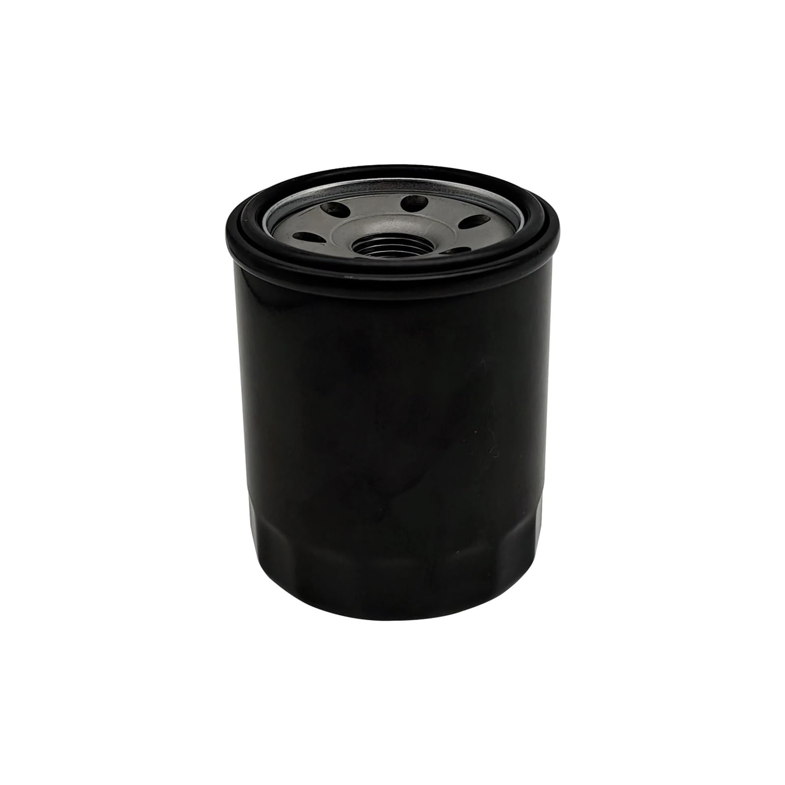Pezzi di ricambio Filtro olio Fit for parti Go Kart Quad 1000cc Villain Fugleman UT10 SX10 Codice F02G00500001 E02-G005000-000-00