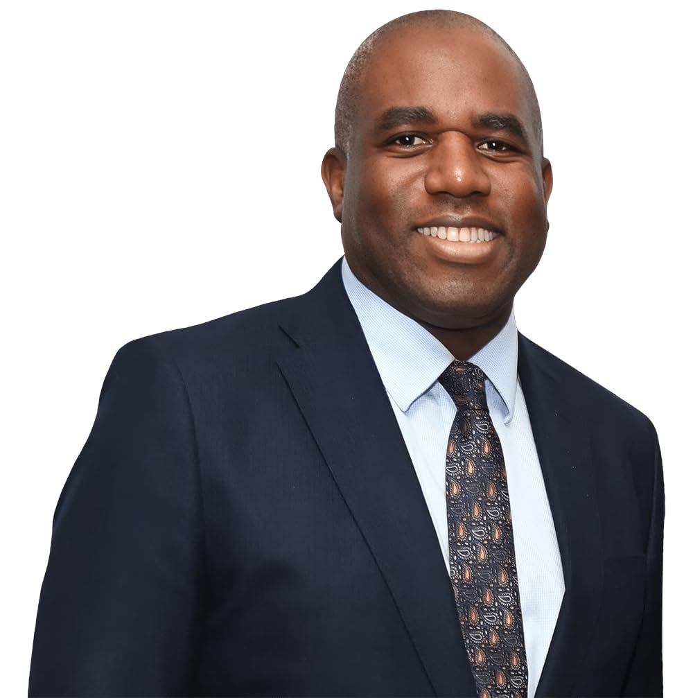 David Lammy (Suit) Half Body Buddy Cutout