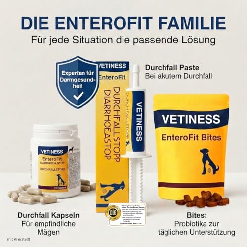 vetiness EnteroFit Durchfallstopp Paste für Hunde 30 ml – bei akutem Durchfall Hund und Darmstörungen – Diätergänzungsfuttermittel mit Aktivkohle, Bentonit und Probiotikum