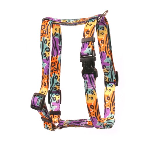 Image of Yellow Dog Design Safari Roman Style H Dog Harness, X-Small-3 /8 Wide and fits Chest of 8 to 14 inch