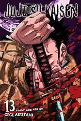 Amazon | Jujutsu Kaisen, Vol. 14: The Shibuya Incident-Right