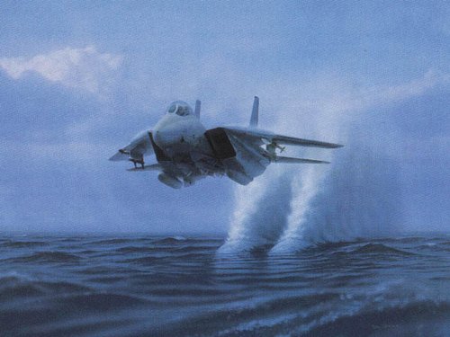"Tomcat" - Dru Blair - F-14 Tomcat Aviation Art (Artist's Proof)