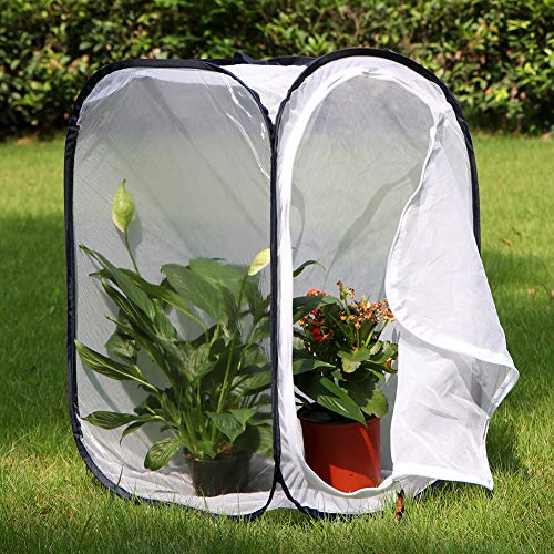 Image of RESTCLOUD Insect and Butterfly Habitat Cage Terrarium Pop-up 23.6 Inches Tall