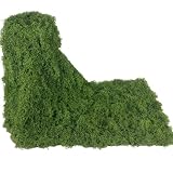 CEWUDA Muschio Finto per Decorazioni 30 x 200 cm Muschio Stabilizzato Nylon Verde Scuro Ar...