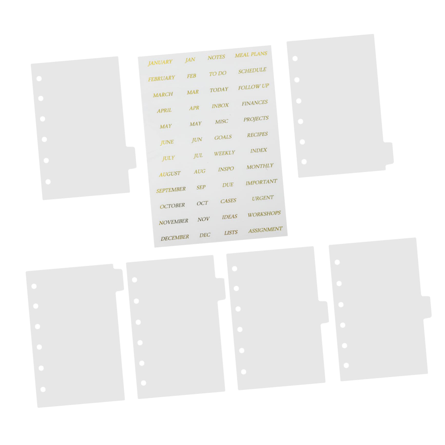5sets Divisori Per Raccoglitori Trasparenti Con Anelli e Adesivi Dorati Di Pagine Separatrici Per Organizzazione Documenti e Appunti Per Scuola e Lavoro
