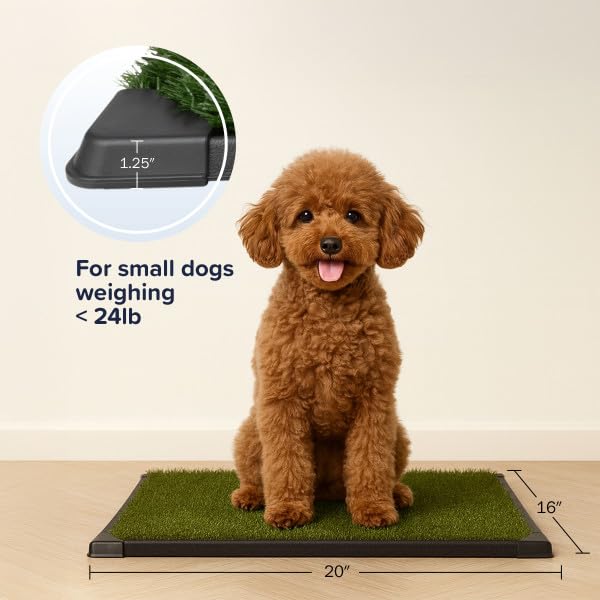 Image of Artificial Grass Puppy Pad with Tray 16x20 inch | Reusable Indoor & Outdoor Dog Potty Training Mat System | Washable Fake Grass Pet Housebreaking Pad for Puppies & Small to Medium Dogs by PETMAKER
