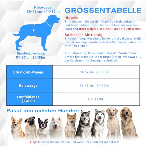 WATSABRO LED Hundegeschirr Set, mit 1,5m Reflektierende Hundeleine, Verstellbare Aufladbares Beleuchtetes Hundegeschirr für Nachtspaziergänge(Nicht geeignet für kleine Hunde wie Chihuahuas)