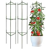 ✔ LAS MEJORES JAULAS DE TOMATE MULTIFUNCIÓN: 🍅 El acero inoxidable interior brinda un soporte duradero y resistente, el revestimiento de plástico verde no afectará la estética. Significa un rendimiento duradero que abarca varias temporadas y nunca se oxida. Es una gran mejora con respecto a los marcos de metal básicos. Son igual de resistentes, un poco más agradables a la vista y, lo más importante, las barras ajustables.