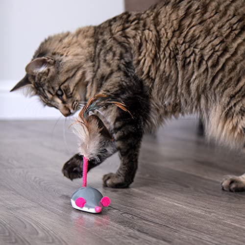 Smartykat Instincts Runaway Rascal Remote-Controlled Electronic Motion Interactive Cat Toy, Battery-Powered - Gray, One Size #TOP2