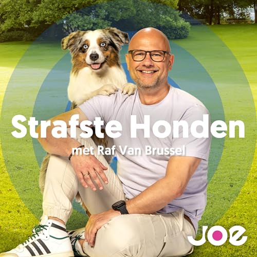 Strafste Honden Titelbild