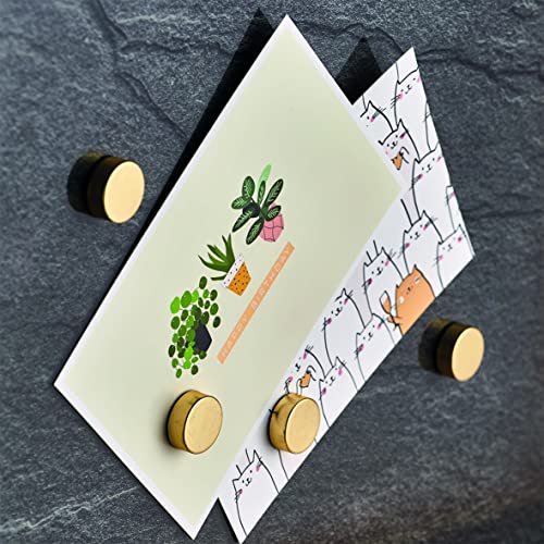 Zeller 11234 - Set di 4 magneti extra forti