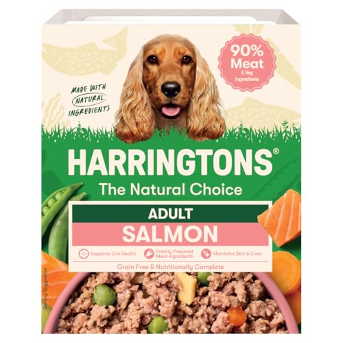 Harringtons Salmon Adult Wet Dog Food 400G
