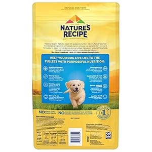 Nature′s Recipe Pet Lamb & Rice Recipe Dry Canine Meals, 4 lb. Bag Nature′s Recipe Pet Lamb & Rice Recipe Dry Canine Meals, 4 lb. Bag