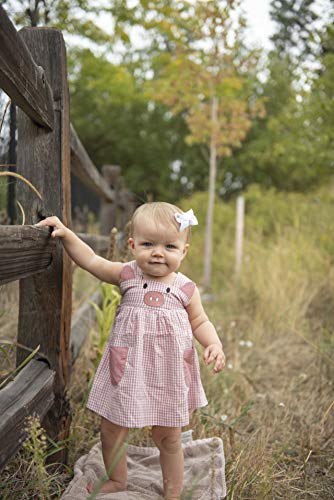 Baby Girls Sleeveless Dress with Sash3