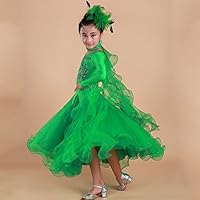 Amazon.co.jp: ラテンダンス衣装 赤 社交ダンスドレス ダンスウエア