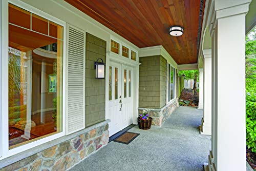 Image of Nuvo Lighting 62 /653 Transitional Two Light Flush Mount from Willis Collection in Black Finish