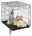 Medium Dog Crate | MidWest Life Stages 30" Folding Metal Dog Crate | Divider Panel, Floor Protecting Feet, Plastic Tray | 30L x 21W x 24H Inches, Medium Dog Breed