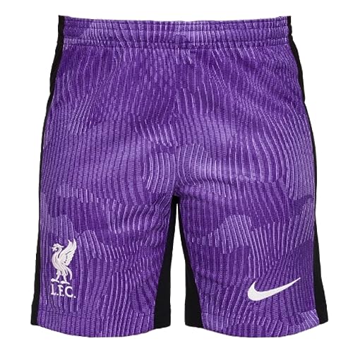 Liverpool FC Season 2023/2024 Official Third Stadium Men's Nike Shorts S