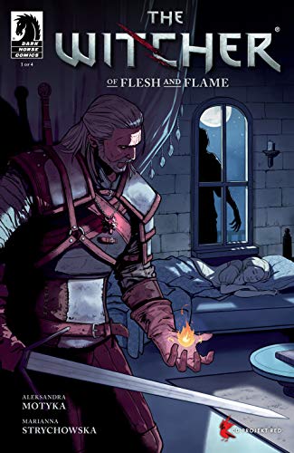 Witcher: Of Flesh and Flame #1 (The Witcher) (English Edition)