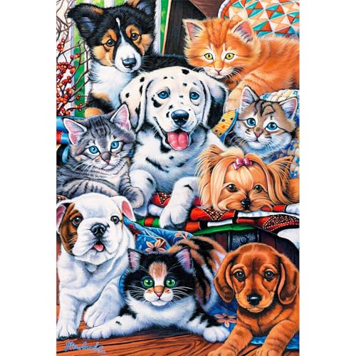 i26×38cmjCHengQiSM 1000s[X WO\[pY }CNs[X L2 pY 1000 G  WO\[pY }CNs[X L  CeA