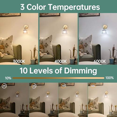 Image of Shenmoyl Vintage Battery Operated Wall Sconces Set of Two, Rechargeable Battery Powered Wall Sconce with Remote Control, Wireless Dimmable LED Light for Bedside Bedroom Kitchen (Transparent Pineapple)