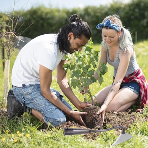 Binette de jardin triangulaire pour désherber et couper le sol - 3