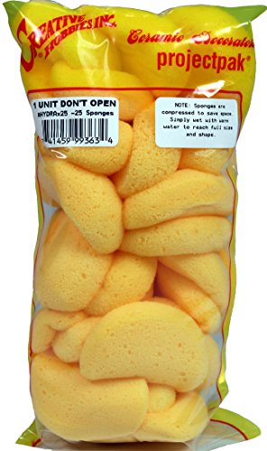 Creative Hobbies Pack Of 25 Synthetic Sponges - 2-1/2 Inch Round, Craft Sponges - Ideal For Painting, Face Painting, Crafts, Pottery, Clay, Watercolors, Household Use #TOP3