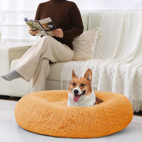 Image of JOLLYVOGUE Dog Bed, Calming Anti-Anxiety Large Dog Bed, Fluffy Donut Cushion for Medium and Large Pets (27 inch /30 inch /36 inch)