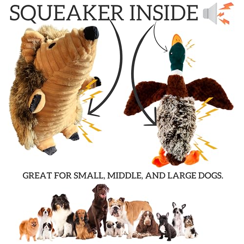 Juguete Mordible Squeaky para Perros - Pato y Erizo miniatura 4