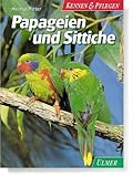 südamerikanische sittiche arten  Papageien und Sittiche