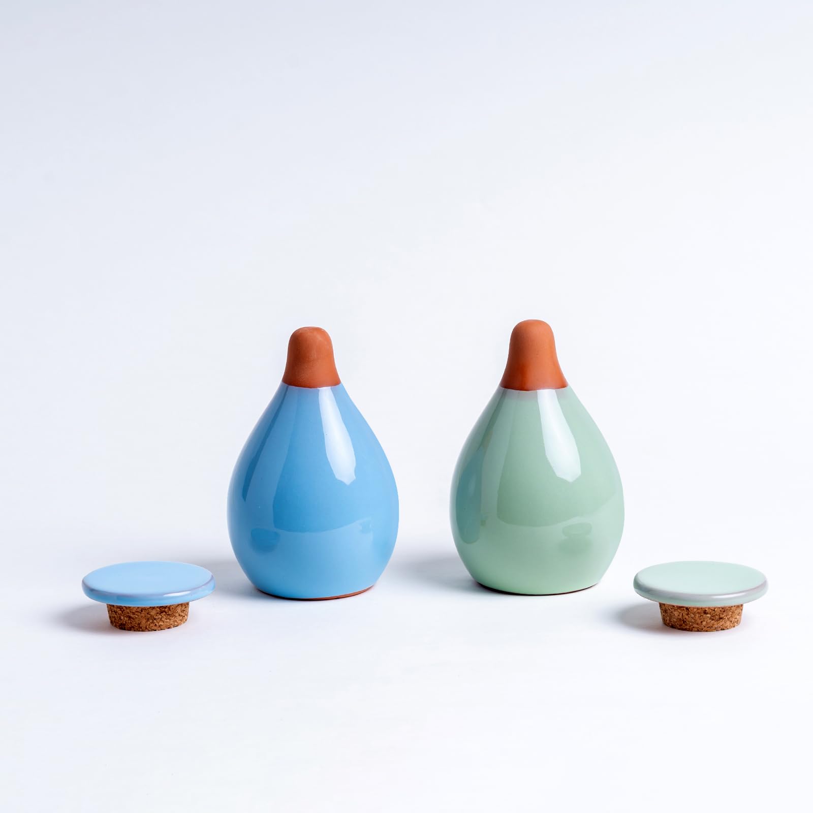 MOUGIGI Lot de 4 inserts de pot à arrosage automatique – 2 globes d'arrosage bleus et 2 verts en céramique pour plantes d'intérieur, bulbes en terre cuite et petits pots de fleurs – Capacité de 300 ml