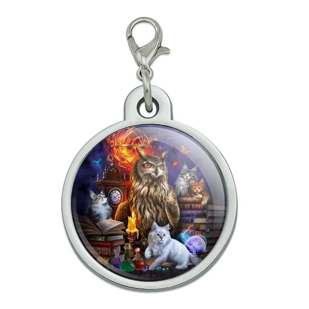 Owl and Cats Library Chrome Plated Metal Pet Dog Cat ID Tag - Large