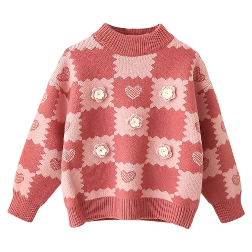 Chandail col rond mode et loisirs coupe ample contre le froid de l'hiver