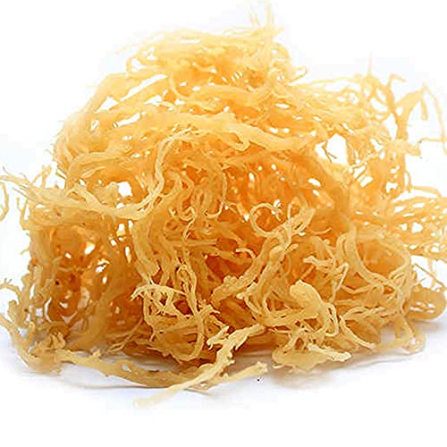 100% Jamaican Sea Moss Natural - Non GMO No Preservatives - Organic (2 Oz)