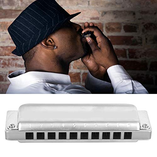 Prachtige blaasinstrumenten 10 gaten mondharmonica voor volwassenen voor studenten - Image 6