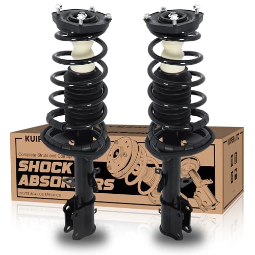 Rear Struts Complete Assembly for 1993-2002 Corolla/Prizm